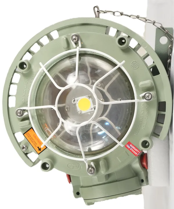 FLP well glass light