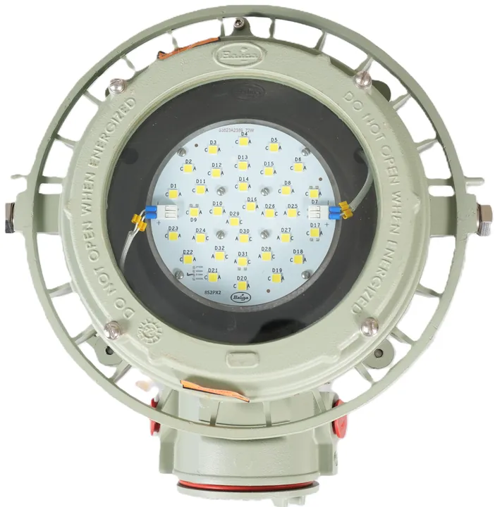 Flood light EXL-100-1
