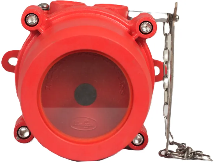 Manual call point EXCS-100-R-MCP