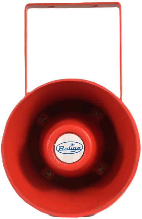 Speaker FLSR-25